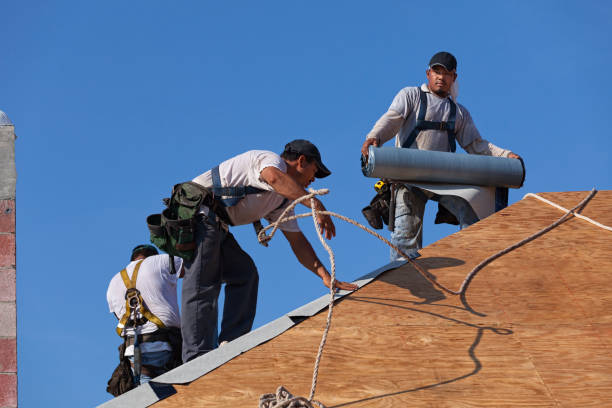 Best Flat Roof Repair Services  in Ripley, MS