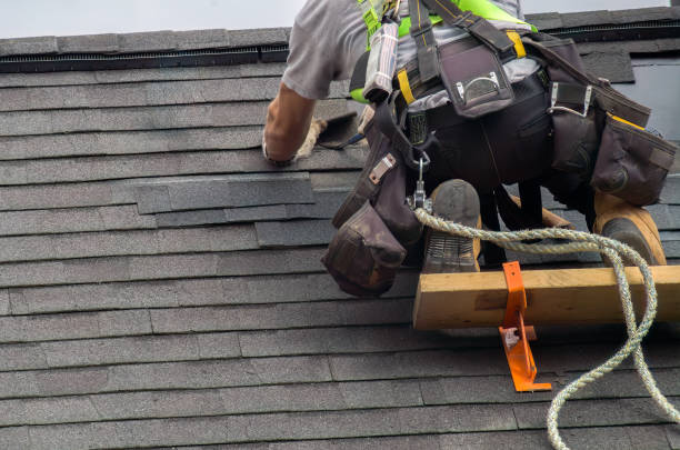 Best Slate Roofing Contractor  in Ripley, MS